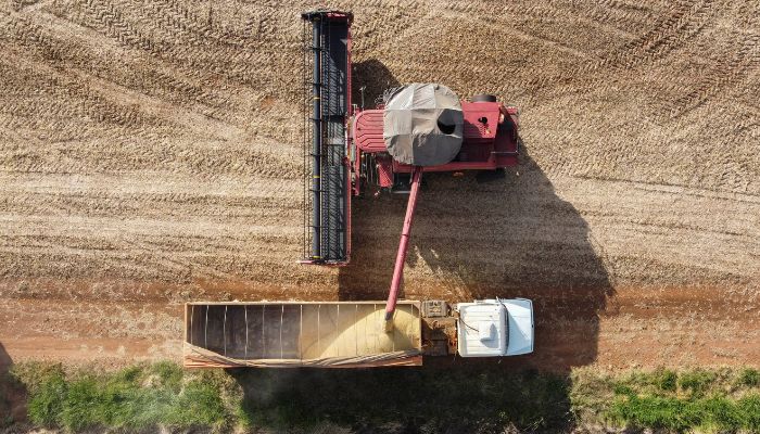  35 cidades do Paraná têm Valor Bruto da Produção Agropecuária superior a R$ 1 bilhão